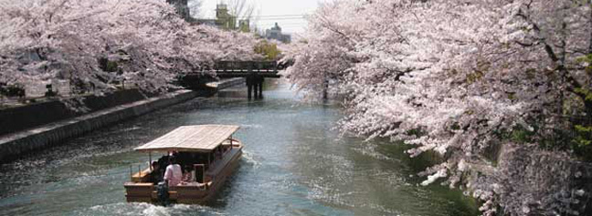 Tsunami_blog_image