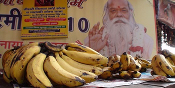 Still from Mondo Banana (2013), playing at the San Francisco Green Film Festival on May 30.