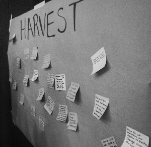 Photo credit: Kiana Fleming, Active Voice.