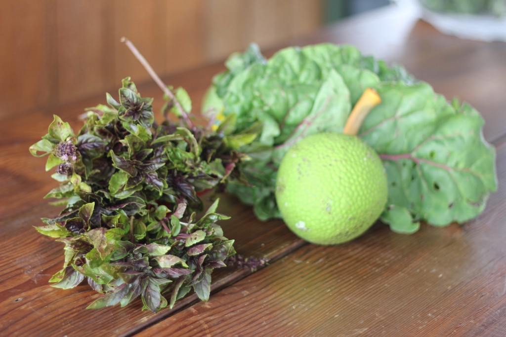 Produce from MA'O Organic Farm, including ulu, or breadfruit.